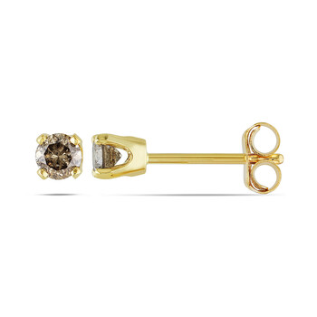 Bông tai Amour 1/4 Ct Dark Brown Diamond Tw Stud Earrings 10K Gold Yellow 10K Gold Yellow