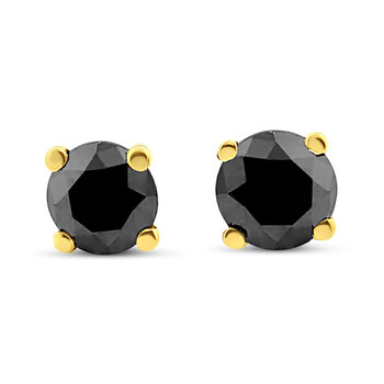 Bông tai Haus Of Brilliance 14K Yellow Gold 3/4 Cttw Treated Black Diamond Screw-Back 4-Prong Classic Stud Earrings (Black Color